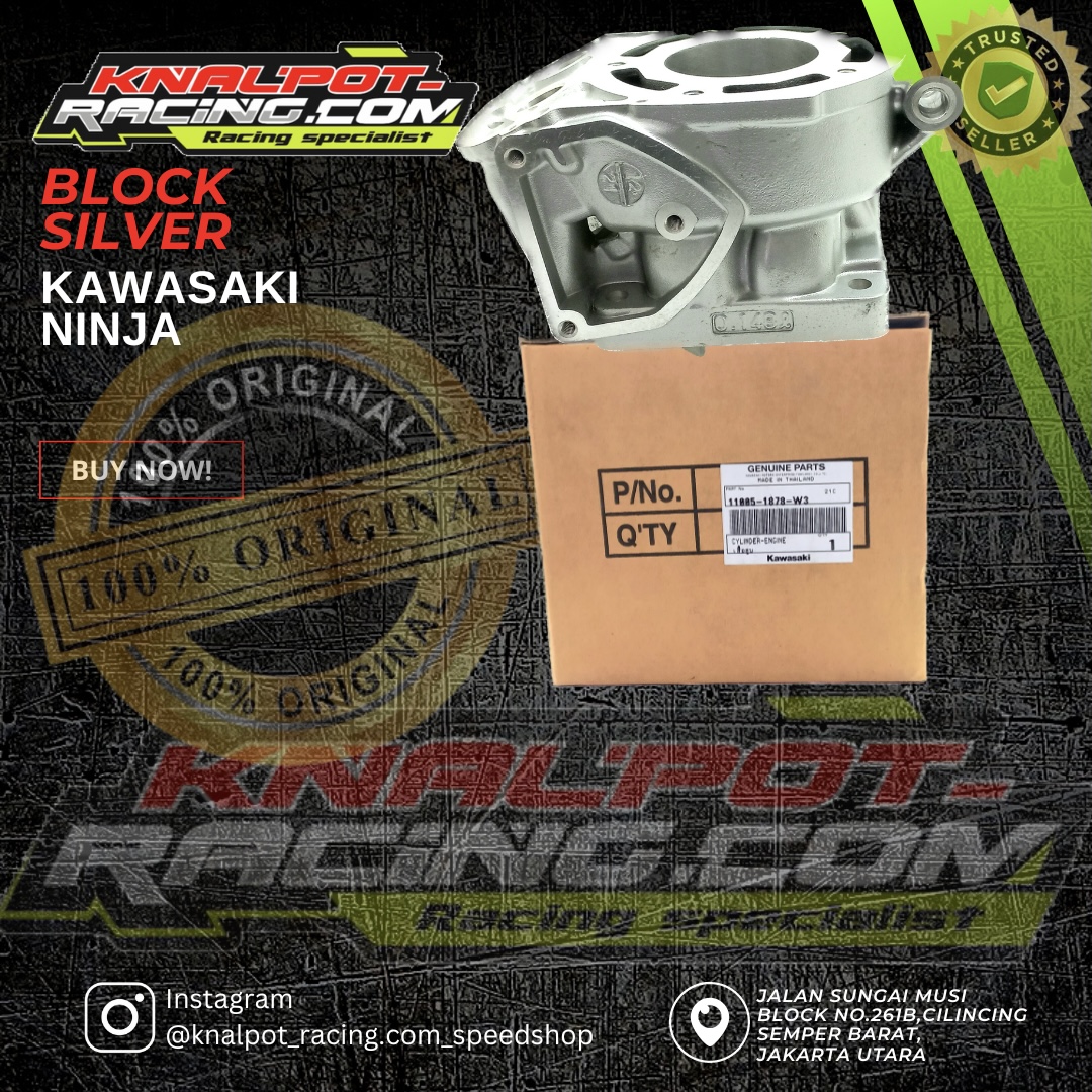 BLOK KAWASAKI ZX SILVER 